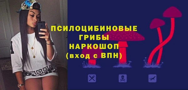 спиды Магас
