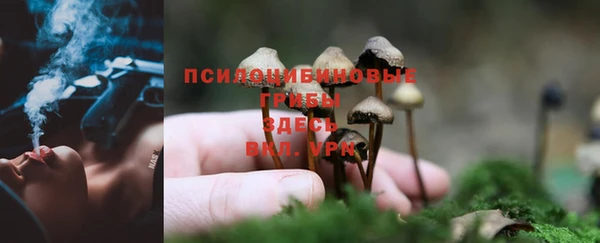 спиды Магас