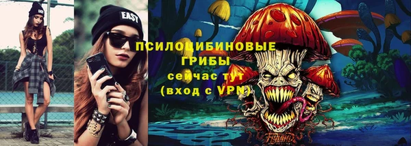 спиды Магас