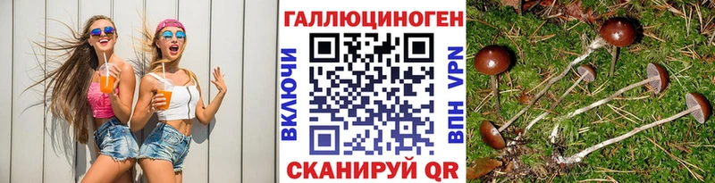 Галлюциногенные грибы Psilocybine cubensis  Купить закладки  Лабинск 